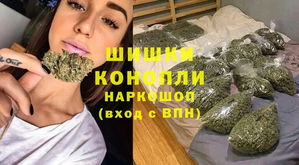 PSILOCYBIN Козловка