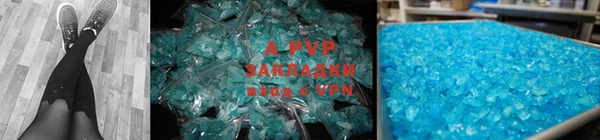 PSILOCYBIN Козловка