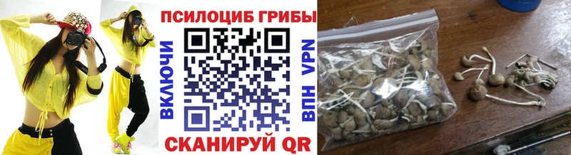 Купить закладки  Перевоз  Галлюциногенные грибы Cubensis 